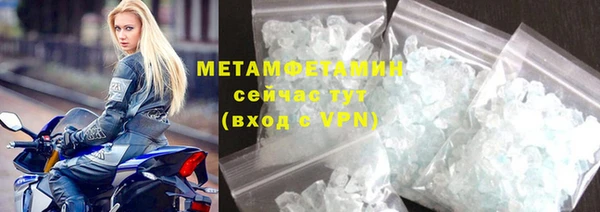 индика Туринск