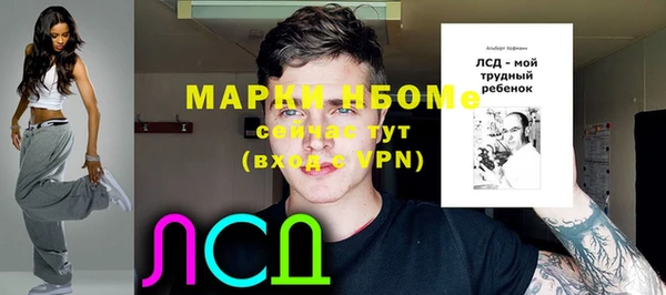 стаф Ладушкин