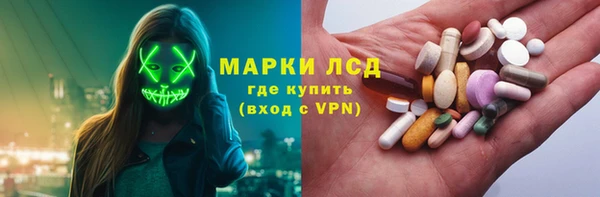 стаф Ладушкин