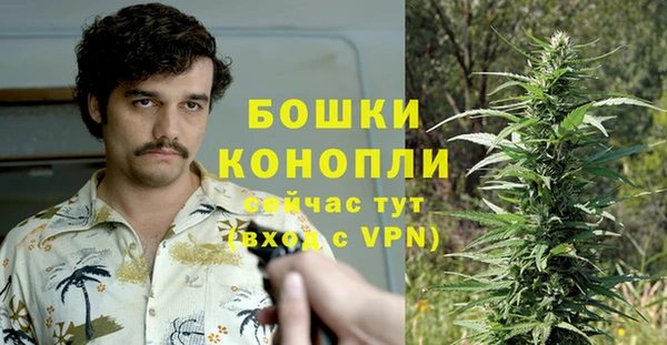 стаф Лагань