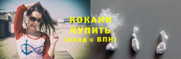 стаф Ладушкин